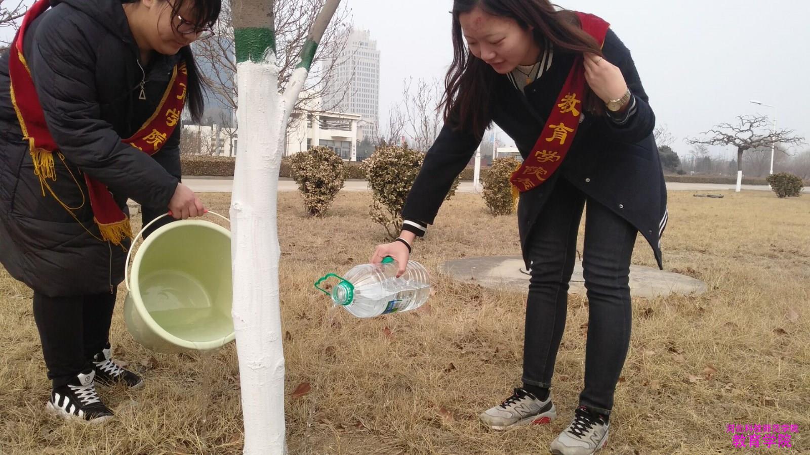 澳门太阳游戏网站官网版举办植树节“和大树在一起”活动1.jpg